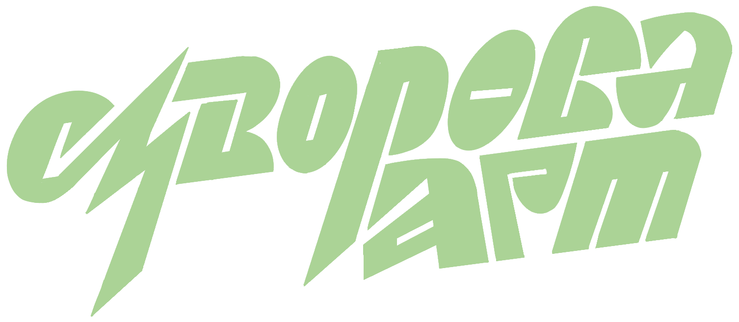 Каллиграфия+леттеринг (рисование букв)